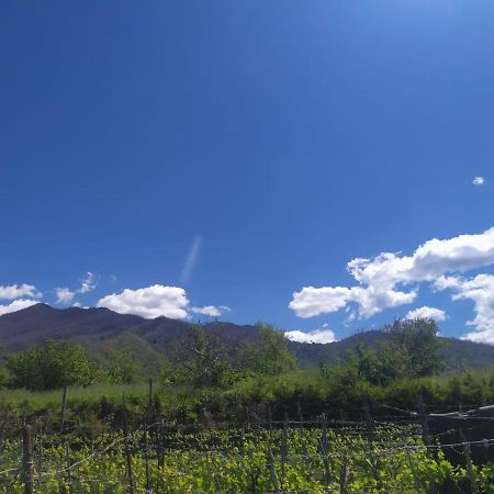 L'Orto Del Vesuvio Di Laura Guidone Bed and Breakfast San Sebastiano al Vesuvio Esterno foto