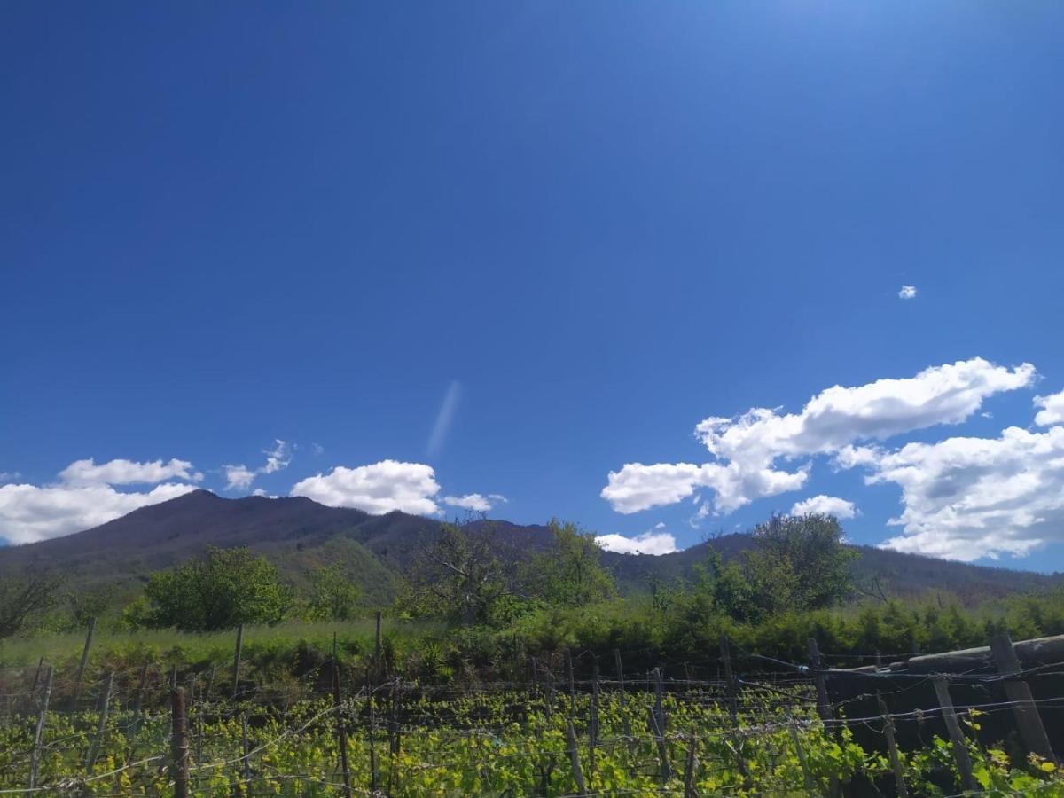 L'Orto Del Vesuvio Di Laura Guidone Bed and Breakfast San Sebastiano al Vesuvio Esterno foto